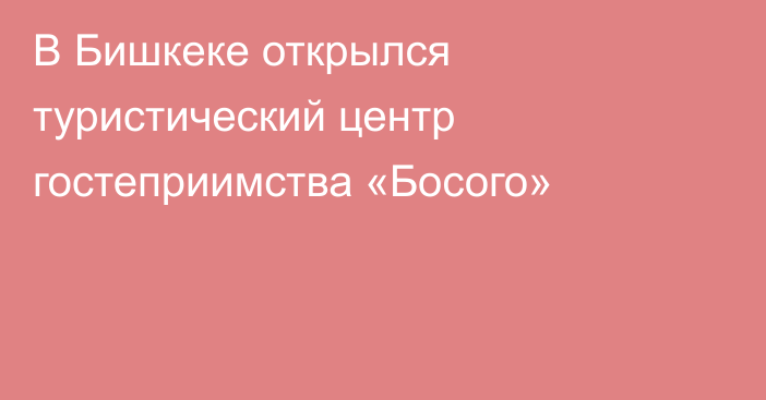 В Бишкеке открылся туристический центр гостеприимства «Босого»