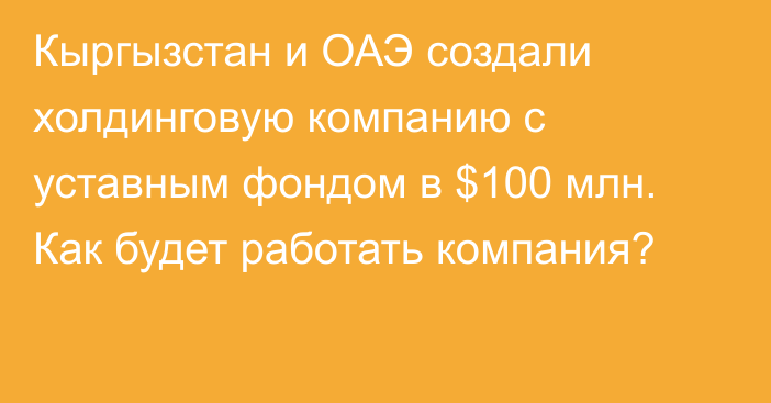 Кыргызстан и ОАЭ создали холдинговую компанию с уставным фондом в $100 млн. Как будет работать компания?