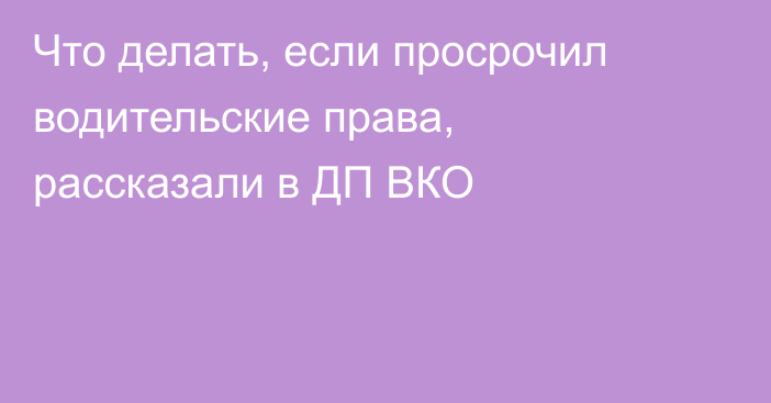 Что делать, если просрочил водительские права, рассказали в ДП ВКО