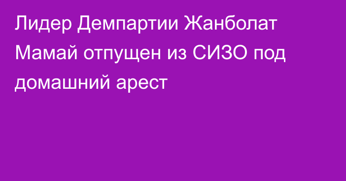 Лидер Демпартии Жанболат Мамай отпущен из СИЗО под домашний арест