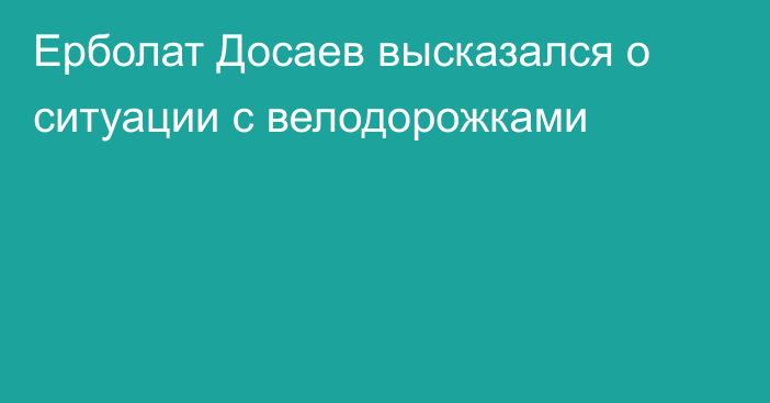 Ерболат Досаев высказался о ситуации с велодорожками