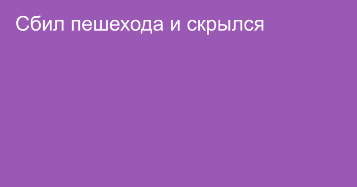 Сбил пешехода и скрылся