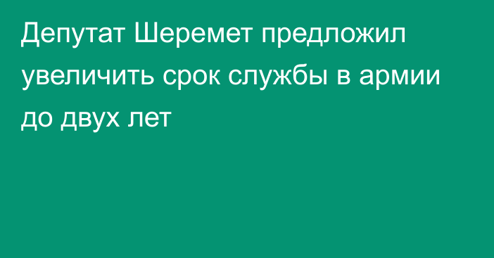 Депутат Шеремет предложил увеличить срок службы в армии до двух лет