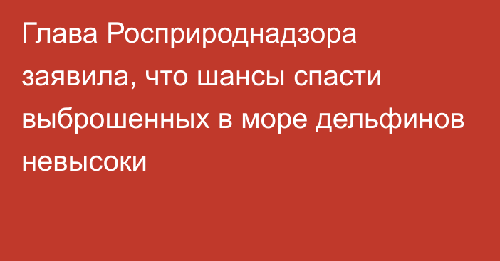 Глава Росприроднадзора заявила, что шансы спасти выброшенных в море дельфинов невысоки