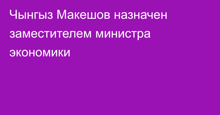 Чынгыз Макешов назначен заместителем министра экономики