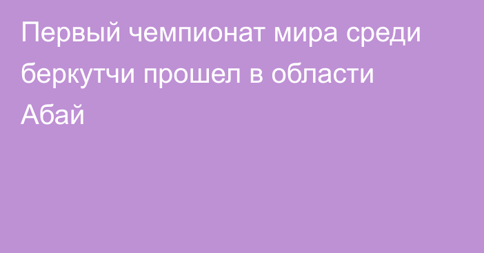 Первый чемпионат мира среди беркутчи прошел в области Абай