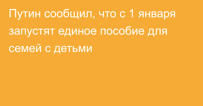 Путин сообщил, что с 1 января запустят единое пособие для семей с детьми