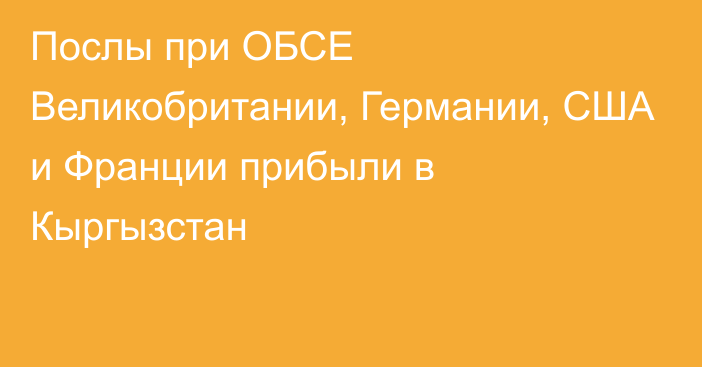 Послы при ОБСЕ Великобритании, Германии, США и Франции прибыли в Кыргызстан