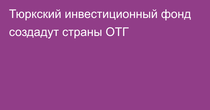 Тюркский инвестиционный фонд создадут страны ОТГ