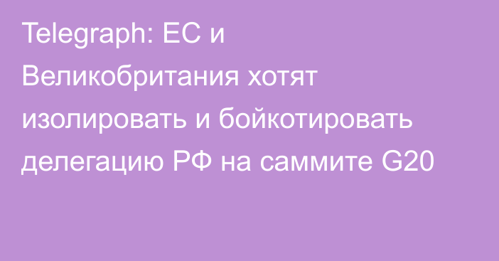 Telegraph: ЕС и Великобритания хотят изолировать и бойкотировать делегацию РФ на саммите G20