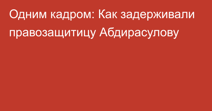 Одним кадром: Как задерживали правозащитицу Абдирасулову