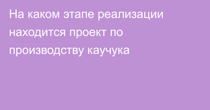 На каком этапе реализации находится проект по производству каучука