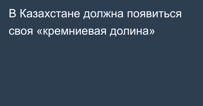 В Казахстане должна появиться своя «кремниевая долина»