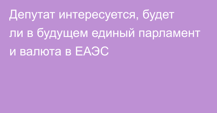 Депутат интересуется, будет ли в будущем единый парламент и валюта в ЕАЭС