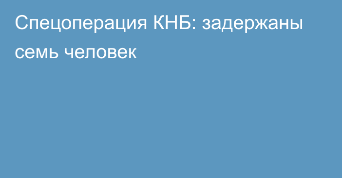 Спецоперация КНБ: задержаны семь человек