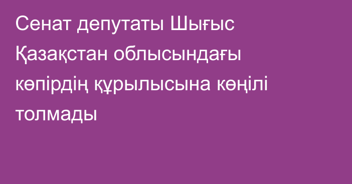 Сенат депутаты Шығыс Қазақстан облысындағы көпірдің құрылысына көңілі толмады