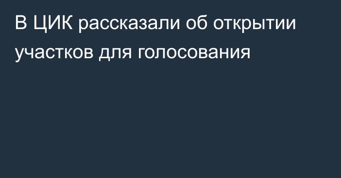 В ЦИК рассказали об открытии участков для голосования