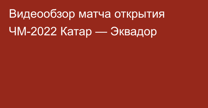 Видеообзор матча открытия ЧМ-2022 Катар — Эквадор