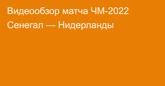 Видеообзор матча ЧМ-2022 Сенегал — Нидерланды