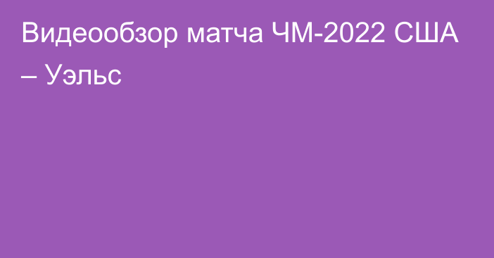 Видеообзор матча ЧМ-2022 США – Уэльс