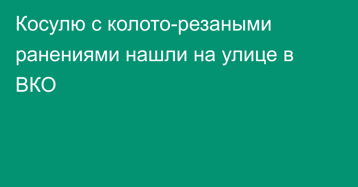 Косулю с колото-резаными ранениями нашли на улице в ВКО