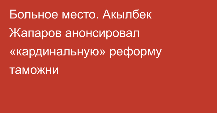 Больное место. Акылбек Жапаров анонсировал «кардинальную» реформу таможни