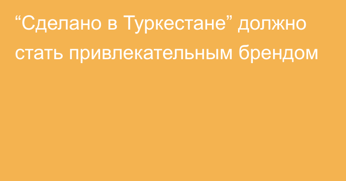 “Сделано в Туркестане” должно стать привлекательным брендом