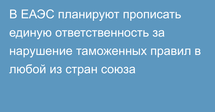 В ЕАЭС планируют прописать единую ответственность за нарушение таможенных правил в любой из стран союза