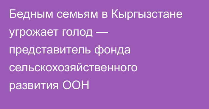 Бедным семьям в Кыргызстане угрожает голод — представитель фонда сельскохозяйственного развития ООН