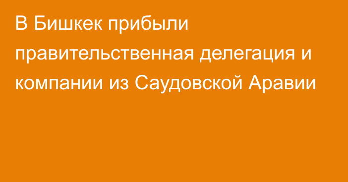 В Бишкек прибыли правительственная делегация и компании из Саудовской Аравии