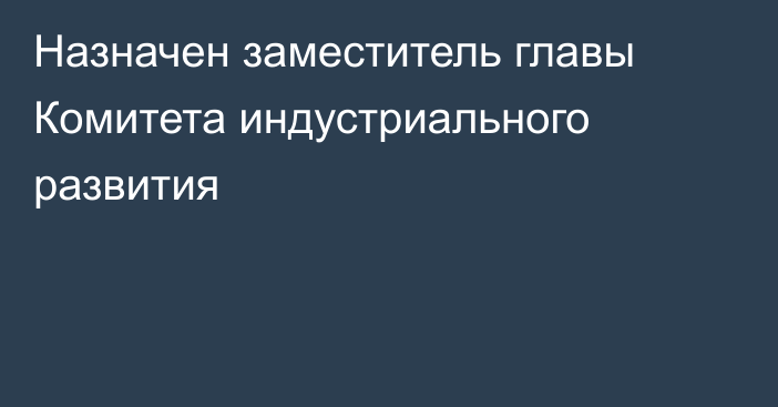 Назначен заместитель главы  Комитета индустриального развития