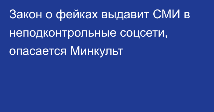 Закон о фейках выдавит СМИ в неподконтрольные соцсети, опасается Минкульт