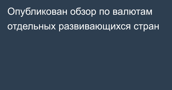 Опубликован обзор по валютам отдельных развивающихся стран