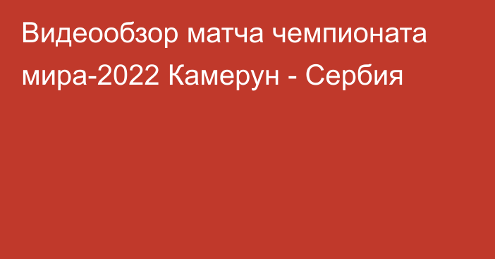 Видеообзор матча чемпионата мира-2022 Камерун - Сербия