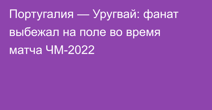 Португалия — Уругвай: фанат выбежал на поле во время матча ЧМ-2022