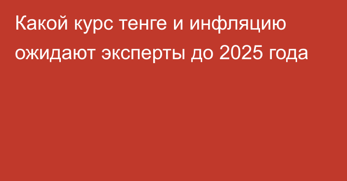 Какой курс тенге и инфляцию ожидают эксперты до 2025 года