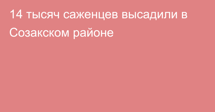 14 тысяч саженцев высадили в Созакском районе