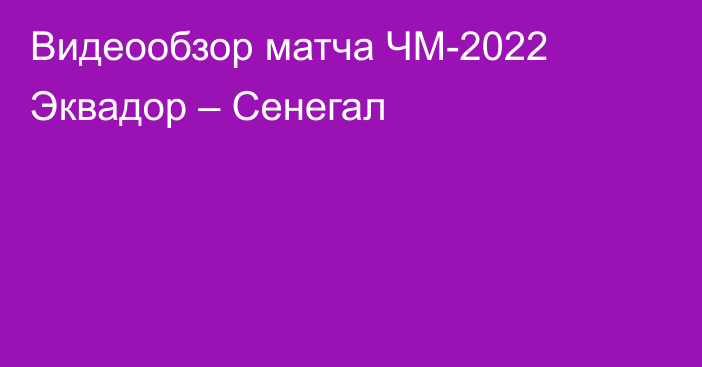 Видеообзор матча ЧМ-2022 Эквадор – Сенегал