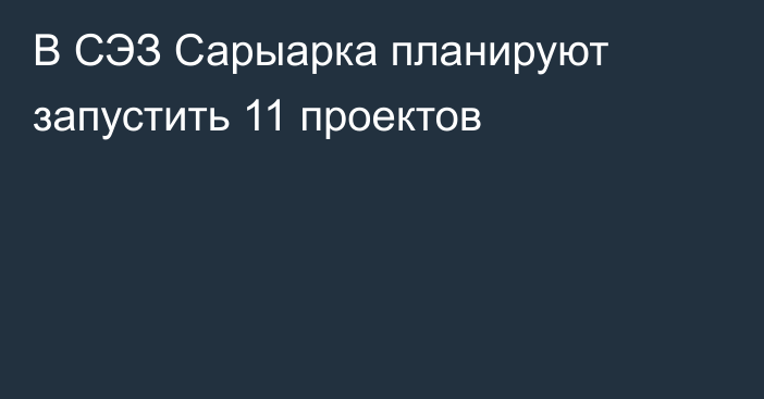 В СЭЗ Сарыарка планируют запустить 11 проектов