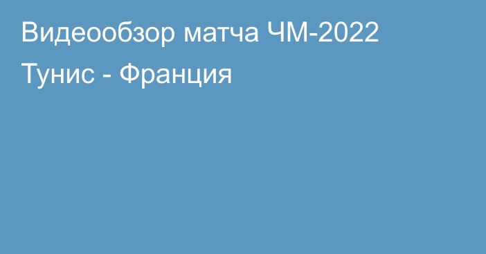 Видеообзор матча ЧМ-2022 Тунис - Франция