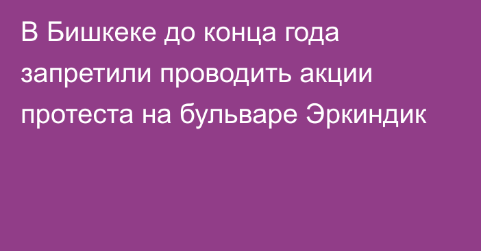 В Бишкеке до конца года запретили проводить акции протеста на бульваре Эркиндик