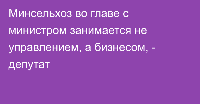 Минсельхоз во главе с министром занимается не управлением, а бизнесом, - депутат