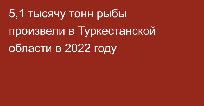 5,1 тысячу тонн рыбы произвели в Туркестанской области в 2022 году