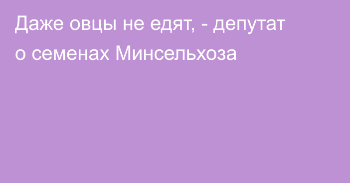 Даже овцы не едят, - депутат о семенах Минсельхоза