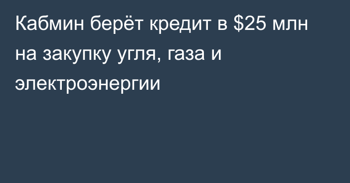 Кабмин берёт кредит в $25 млн на закупку угля, газа и электроэнергии