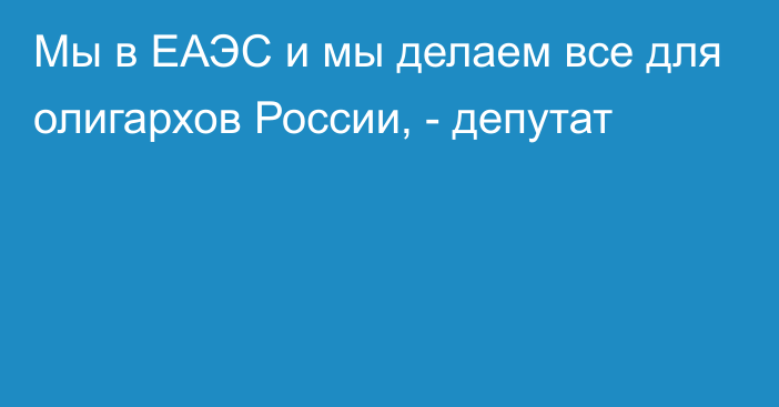 Мы в ЕАЭС и мы делаем все для олигархов России, - депутат