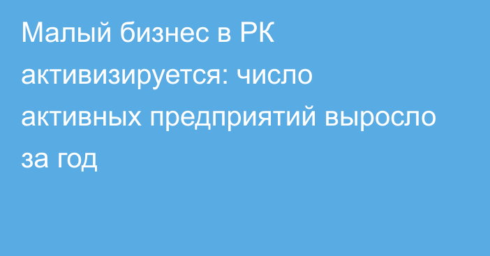 Малый бизнес в РК активизируется: число активных предприятий выросло за год