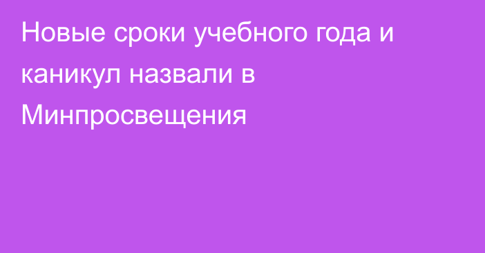 Новые сроки учебного года и каникул назвали в Минпросвещения