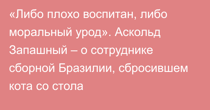 «Либо плохо воспитан, либо моральный урод». Аскольд Запашный – о сотруднике сборной Бразилии, сбросившем кота со стола