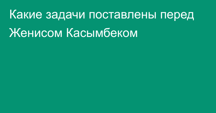 Какие задачи поставлены перед Женисом Касымбеком